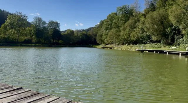 Freizeitsee | Foto: Lena Ferstl