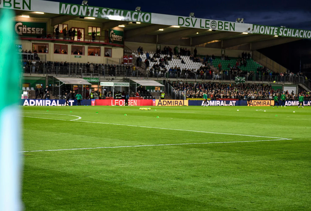Die bestehende Stadion- und Jugendförderung des DSV Leoben wurde angepasst. | Foto: GEPA pictures