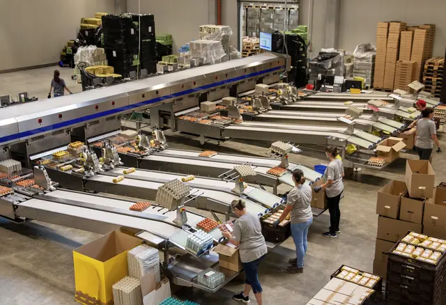 Frauen arbeiten in einer Fabrik