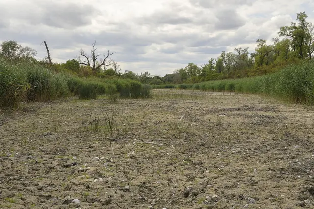 Genau wie Umweltschützer, fordert nun auch der Bezirk einen Krisengipfel zur Unteren Lobau. | Foto: WWF