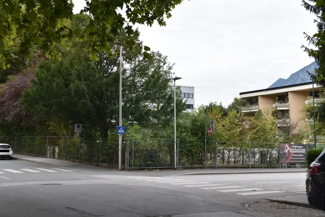 So sah das Grundstück vor der Baumfällung aus. | Foto: Barbara Fluckinger