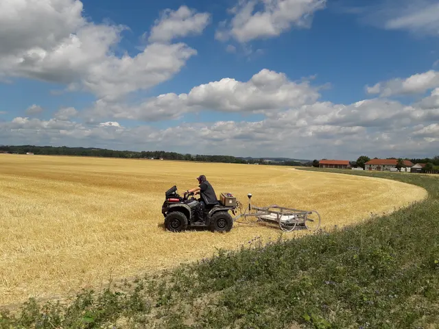 Geophysikalische Messungen (Radar) in Stein/St. Pantaleon-Erla  | Foto: GeoSphere Austria
