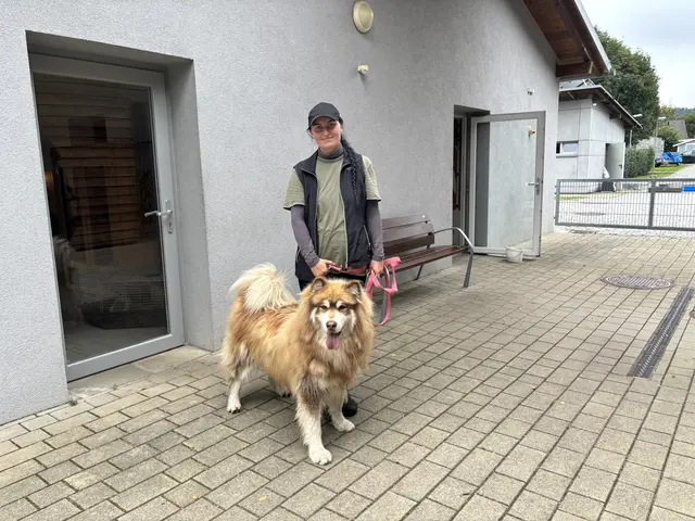 Hund Winnie hat ein schweres Schicksal hinter sich und sucht hundeerfahrene Leute. 