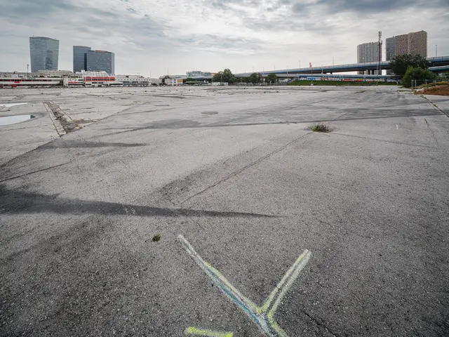 Hier sollte eigentlich eine Eventhalle entstehen – doch jetzt könnte das gesamte Projekt scheinbar scheitern. (Archiv) | Foto: Mitja Kobal / Greenpeace