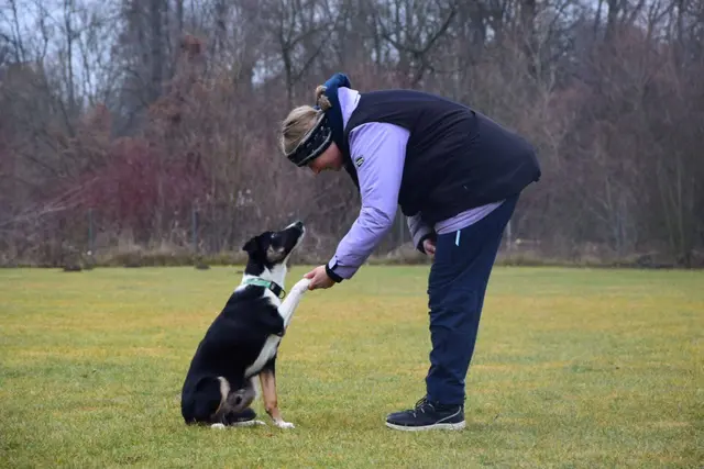 Foto: Hundeschule ÖRV HSV St. Veit