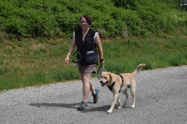 Foto: Hundeschule ÖRV HSV St. Veit
