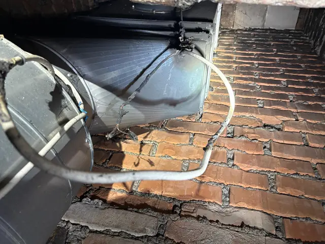 Die Ursache wurde gefunden. | Foto: FF Stadt Tulln