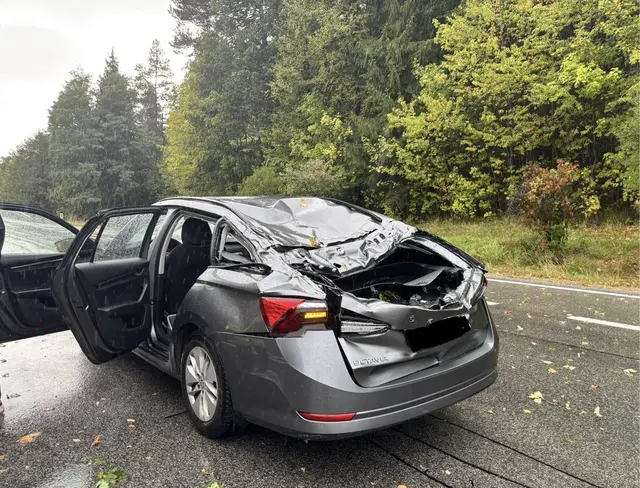 Der Autofahrer hatte großes Glück und blieb unverletzt. | Foto: FF Hoheneich