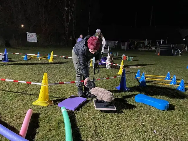 Foto: Hundeschule ÖRV HSV St. Veit