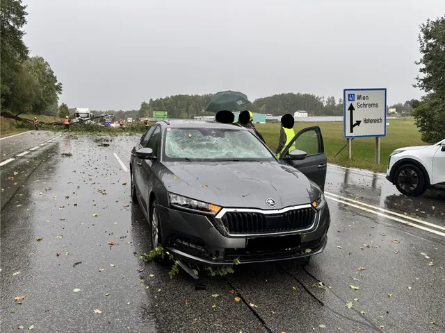Foto: FF Hoheneich