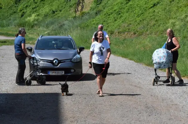 Foto: Hundeschule ÖRV HSV St. Veit