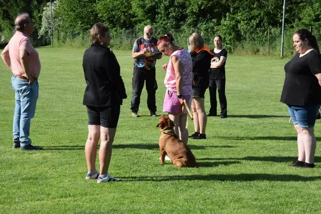 Foto: Hundeschule ÖRV HSV St. Veit