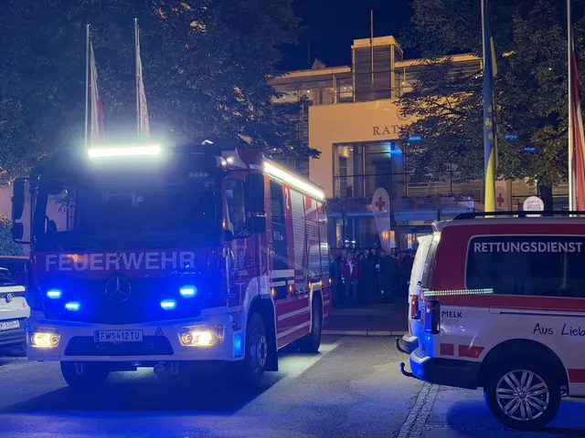 Rasch war die Feuerwehr vor Ort. | Foto: FF Stadt Tulln
