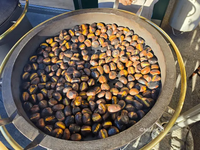 Kastanienzeit, Graz