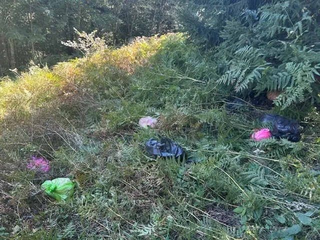 Müll illegal entsorgt. | Foto: Polizei Kärnten