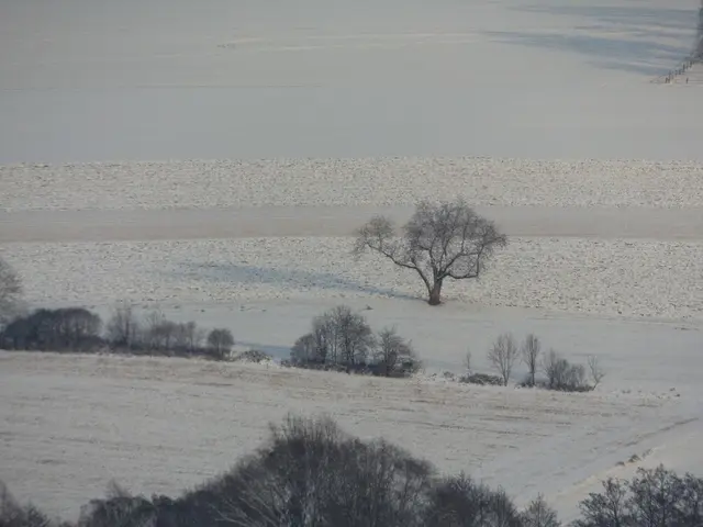 Foto: Kurt Nöhmer