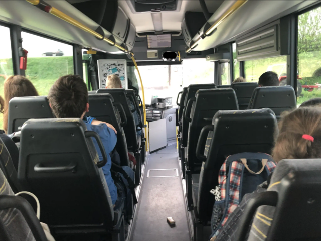 Bus, Öffi, Öffentlicher Verkehr (Symbolfoto). | Foto: pjw