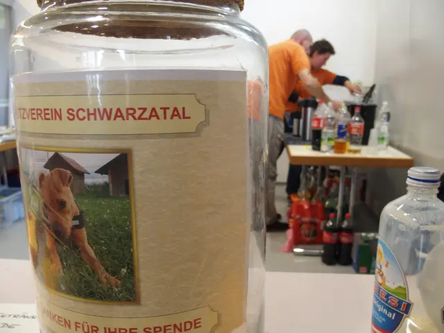 So hilfst du dem Tierheim Ternitz. | Foto: Santrucek