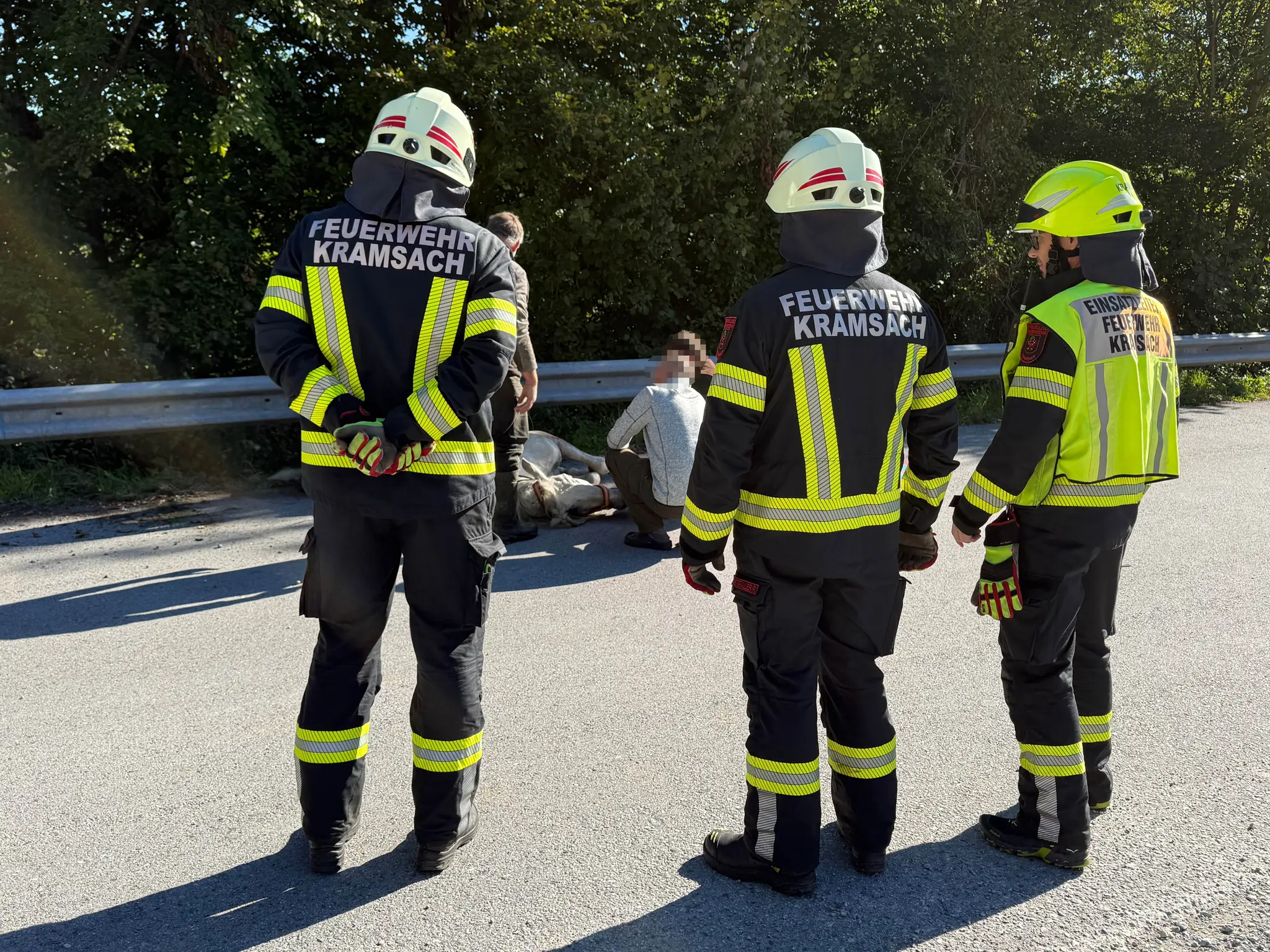 Animal rescue in Kramsach: Horse trapped under guardrail - | Fire brigade ...