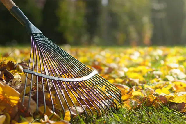 Mitte Oktober bereiten viele Gärtnerinnen und Gärtner den Garten auf den Winter vor. | Foto: Adobe Stock