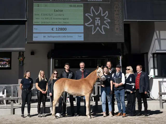 Die Preisspitze liegt bei 12.900 Euro.  | Foto: Fohlenhof Ebbs/Anita Baumgartner