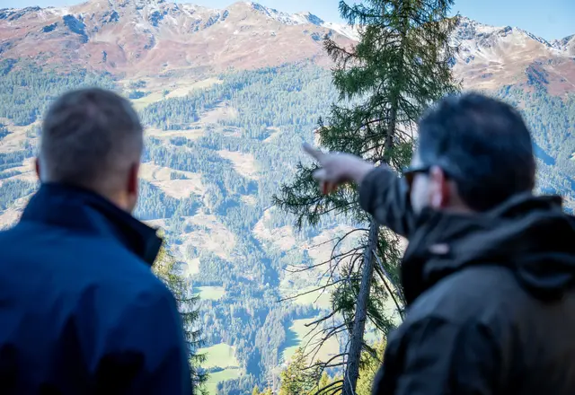 Rund 5,5 Millionen Kubikmeter Schadholz sind in den vergangenen Jahren durch Windwurf, Schneedruck und den Borkenkäfer in Osttirol angefallen. | Foto: Land Tirol/Hörmann