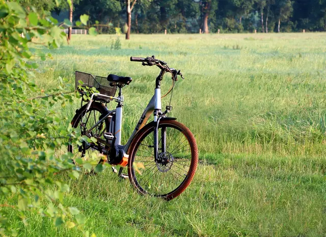 Fahrraddieb gefasst (Symbolbild) | Foto: pixabay / cely_