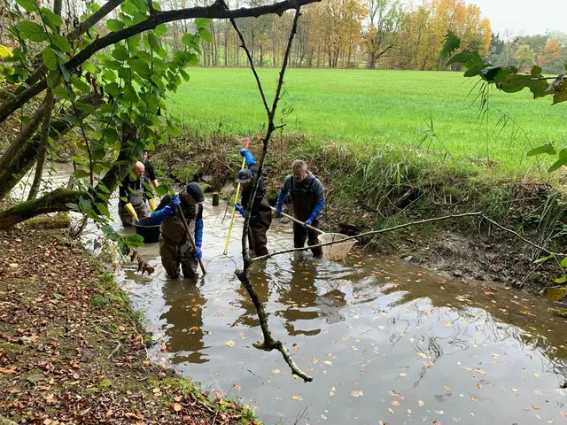 Bei der Arbeit an der oberen Moosach in St. Georgen. | Foto: Leader Flachgau-Nord