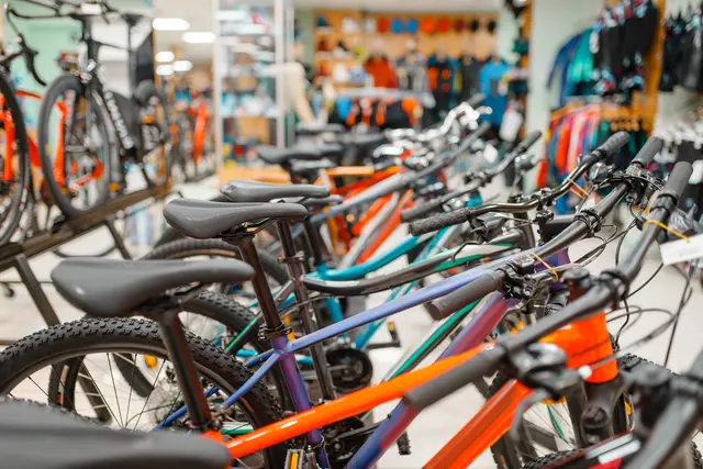 Die "GS E-Bike GmbH" in Fürnitz schlitterte in die Insolvenz.  (Symbolfoto) | Foto: stock.adobe.com/at/Nomad_Soul 