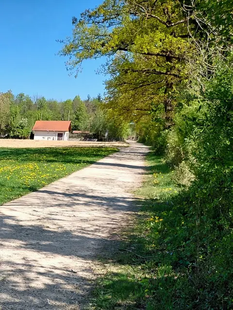 Am Weg von Mitterfelden im bayerischen Grenzgebiet zu Salzburg gibt es auch schöne Wege zum Spazierengehen mit dem Hund.  | Foto: H.Bachinger