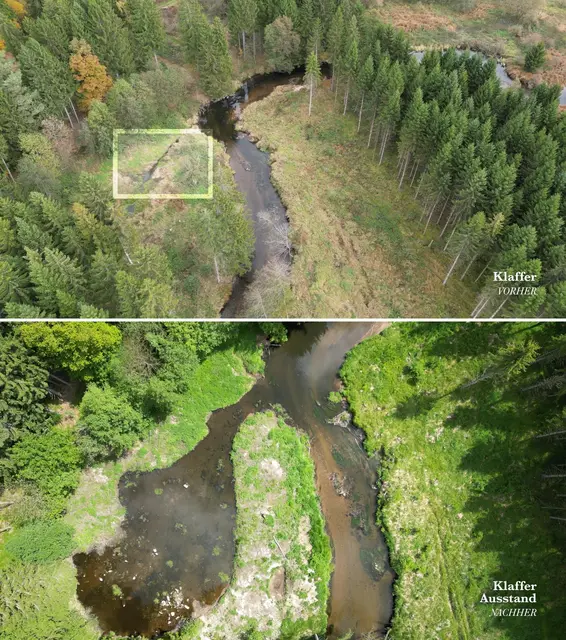 Ein Flussabschnitt in Klaffer vor und nach der Renaturierung.  | Foto: Fischereirevier Rohrbach