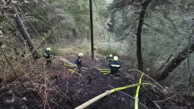 Die Feuerwehren löschten einen Waldbrand.
