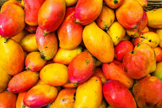In Mangos aus Ägypten wurden Rückstände von Pflanzenschutzmitteln festgestellt, die über den festgelegten Höchstwerten liegen. (Symbolbild) | Foto: Alexander Schimmeck/Unsplash