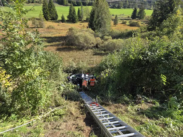 Beim Zusammenstoß mit einem Lkw wurde der Pkw in den Graben geschleudert. Der 77-jährige Pkw-Lenker kam dabei ums Leben. | Foto: FF-Reutte