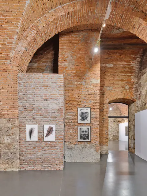 Die Ausstellung zeigt Werke aus den unterschiedlichsten Schaffensphasen von Arnulf Rainer. | Foto: Manuel T. Kreuzer
