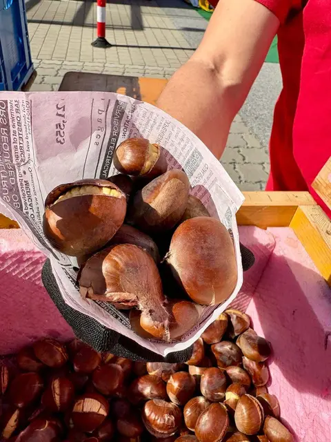 Foto: SPÖ Hart bei Graz