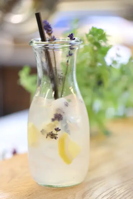 Leonies cooles Getränk für gemütliche Abende: Zitronen-Lavendel-Cocktail. Rezept: 3cl Lavendel-Sirup, 2cl Zitronensaft, 1/8 Soda, Zwei Lavendel- und Zitroneneiswürfel – zuvor eingefroren: kleine Stücke Zitrone und kleine Lavendelblüten in Eiswürfelförmchen – und zehn Eiswürfel 
