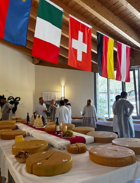 Foto: HBLFA Tirol