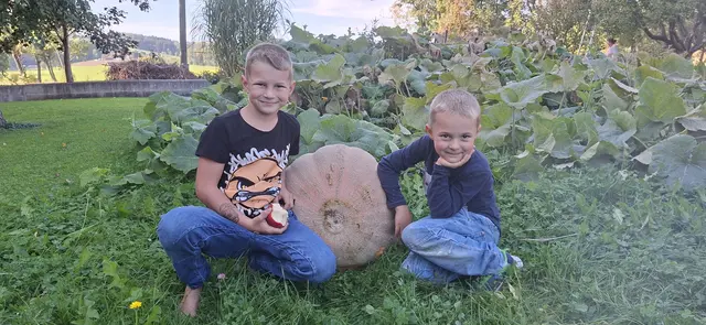 Laurenz (8 Jahre) und Valentin (5 Jahre) mit dem stattlichen Kürbis. | Foto: Baldinger