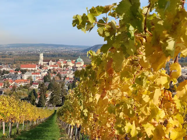 3. Platz ex aequo: Dieser Platz in den Weingärten über Klosterneuburg ist wegen der wunderbaren Aussicht eines meiner Lieblingsplätze | Foto: Sabine Mayer