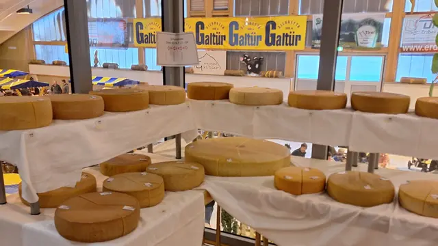 397 Käse aus Österreich, der Schweiz, Südtirol und Liechtenstein stellten sich bei der 32. Almkäseolympiade in Galtür dem Urteil der Fachjury. | Foto: HBLFA Tirol