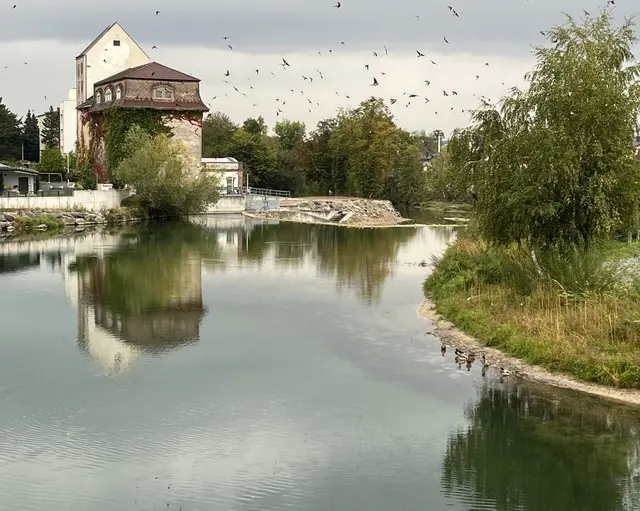 Foto "Abreise in den Süden" von Ebru Dinc | Foto: Ebru Dinc