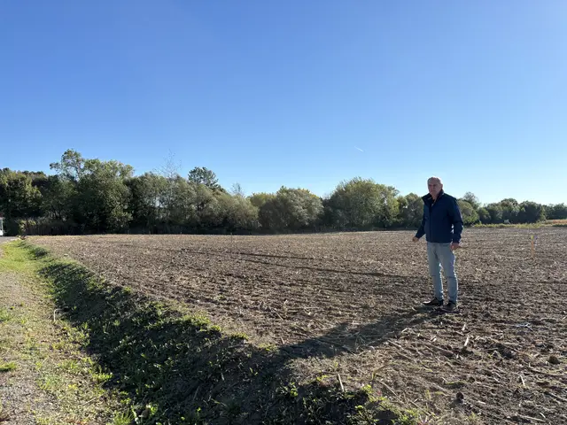 Beim Badeteich sollen die Parkplätze erweitert werden. Zudem werden hier noch im Herbst neue Bäume gepflanzt. | Foto: Jennifer Flechl / MeinBezirk