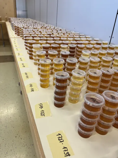 Rekord bei "Die goldene Honigwabe"“: Fachjury bewertet 1.993 Produkte in Wieselburg.
 | Foto: Messe Wieselburg