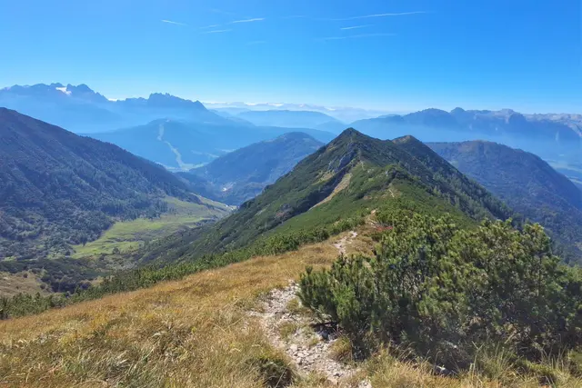 ...Blick zum Moosbergsattel,
am Weg zum Braunedl.