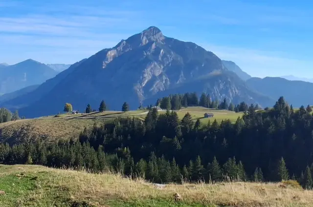 .....Blick zum Rettenkogel, am Weg zum Braunedl.