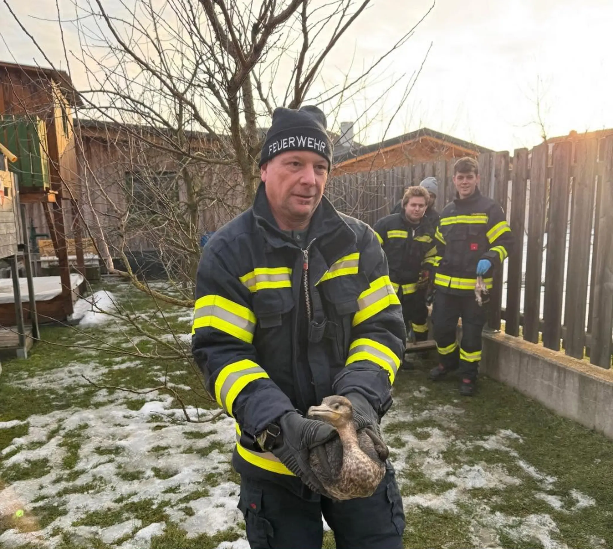World Animal Day: From deer to cattle - | Firefighters rescue 76 animals - ...