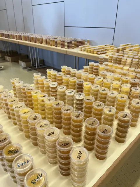 Rekord bei "Die goldene Honigwabe"“: Fachjury bewertet 1.993 Produkte in Wieselburg.
 | Foto: Messe Wieselburg