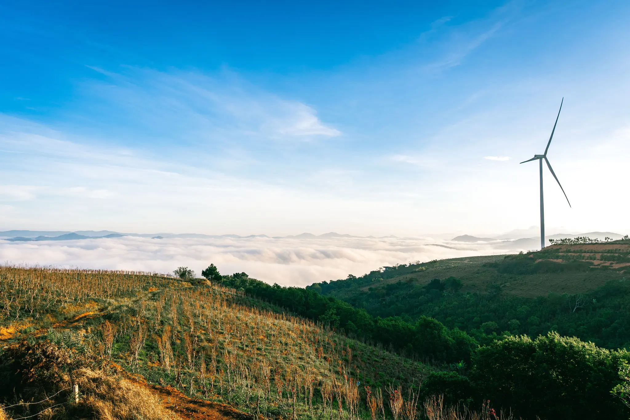 Styria Accelerates Renewable Energy with New Wind and Solar Zones