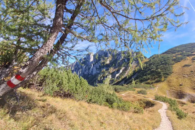 ...alle Wege sind gut markiert, am Rückweg vom Braunedl. Blick zum Scharfen (mittig) 
DANKE an die Verantwortlichen der Wanderwege.